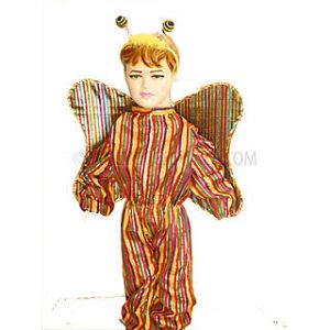 Bird Fancy Dress Butterfly Costume for Kids - Bird & Insect