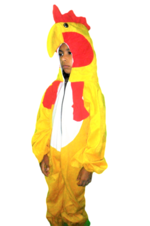 Bird Fancy Dress Chicken Costume for Kids - Bird & Insect