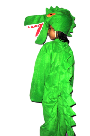 Fancy Dress Crocodile Costume for Kids - Water Animal