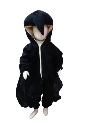 Bird Fancy Dress Crow Costume for Kids - Bird & Insect