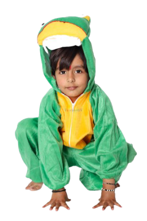 Fancy Dress Frog Costume for Kids - Water Animal