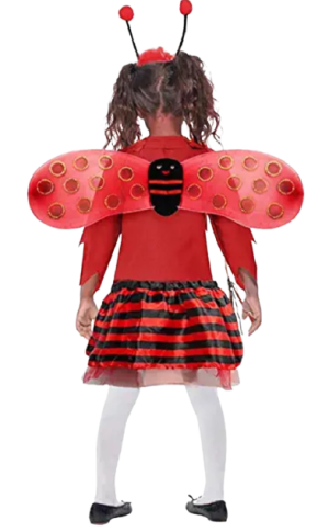 Bird Fancy Dress Ladybug Costume for Kids - Bird & Insect