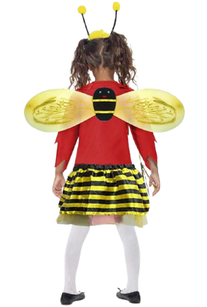 Bird Fancy Dress Ladybug Costume for Kids - Bird & Insect