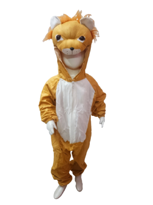 Animal Fancy Dress Lion Costume for Kids - Wild Animal