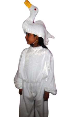 Bird Fancy Dress Swan Costume for Kids - Bird & Insect