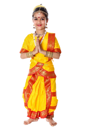Authentic Indian Dance Costumes - Bharatnatyam