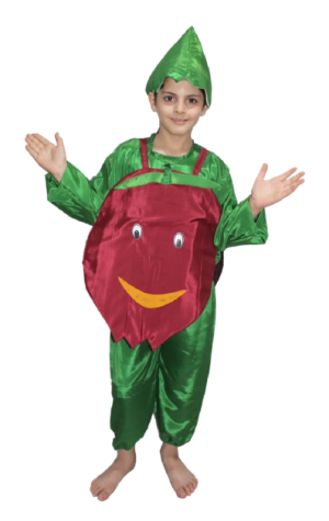 Fancy Dress Beatroute Costume for Kids - Vegitable