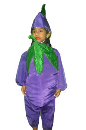 Fancy Dress Bringal Costume for Kids - Vegitable