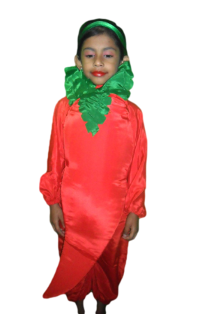 Fancy Dress Red Chilli Costume for Kids - Vegitable