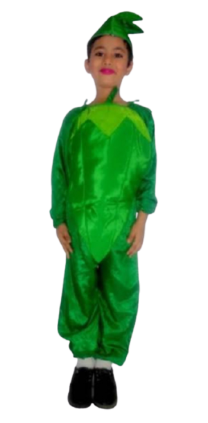 Fancy Dress Green Chilli Costume for Kids - Vegitable