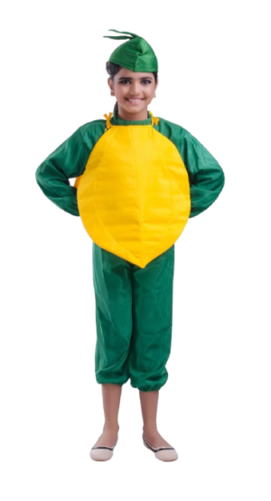 Fancy Dress Lemon Costume for Kids - Vegitable