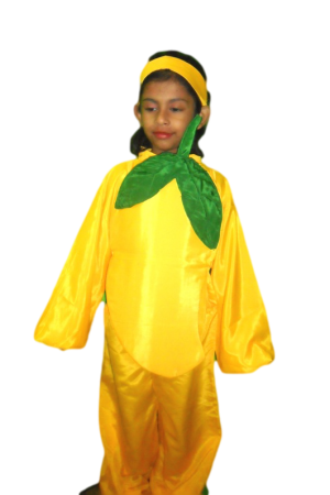 Fancy Dress Mango Costume for Kids - Fruit