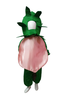 Fancy Dress Onion Costume for Kids - Vegitable