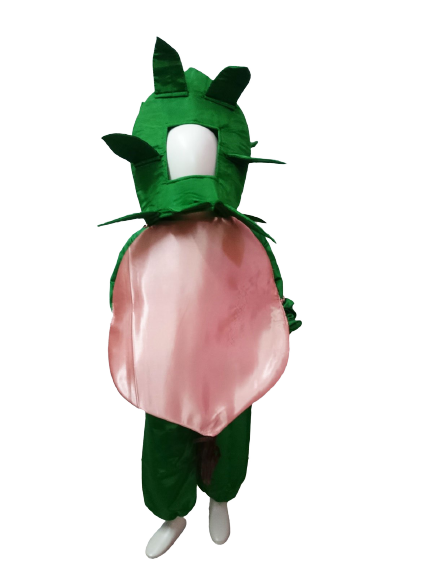 Fancy Dress Onion Costume for Kids - Vegitable