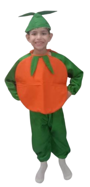 Fancy Dress Orange Costume for Kids - Fruit