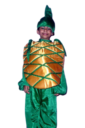 Fancy Dress Pineapple Costume for Kids - Fruit