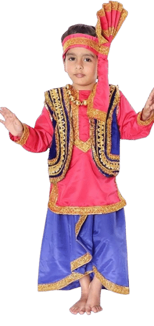 Experience the Vibrancy of India: Punjabi Boy