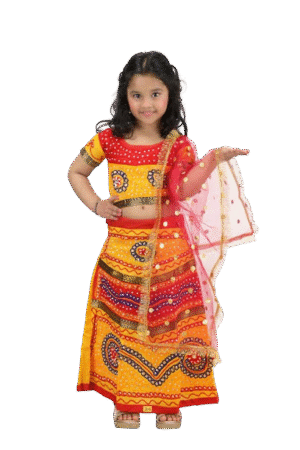 Experience the Vibrancy of India: Gujrati Girl
