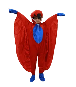Bird Fancy Dress Robbin Costume for Kids - Bird & Insect