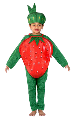 Fancy Dress Strawberry Costume for Kids - Fruit