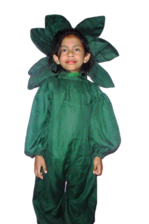 Fancy Dress Tree Costume for Kids - Vegitable
