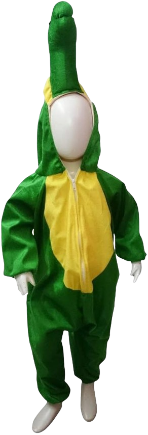 Fancy Dress Turtle Costume for Kids - Water Animal