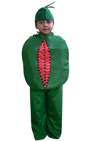 Fancy Dress Watermelon Costume for Kids - Fruit