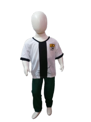 Ben 10 Cartoon Costume for Kids - Alien Adventure Fancy Dress!