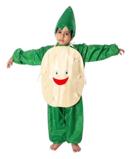 Fancy Dress Potato Costume for Kids - Vegitable