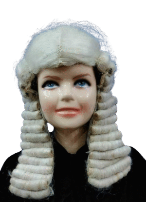 Fun & Easy Fancy Dress Wigs! - British Judge