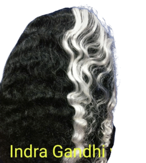 Fun & Easy Fancy Dress Wigs! - Indra Gandhi