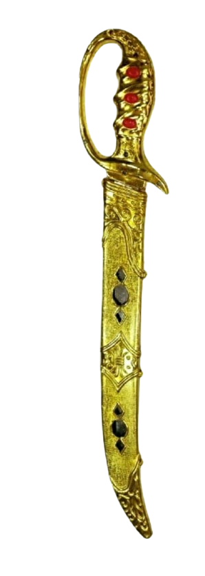 Kids' Plastic Talwar - The Safe Costume Sword!