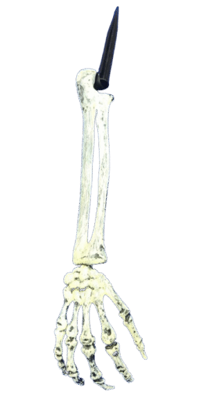 Rubber Panja: The Safe & Fun Play Accessory! - 05