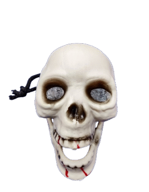 Khopadi (Skull) Prop: 03