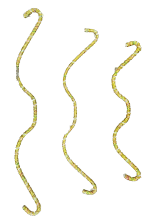 Wooden Dhanush: Crafted for Tradition