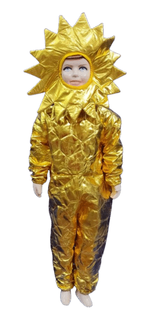 Sunny Fun! Kid's Sun Costume