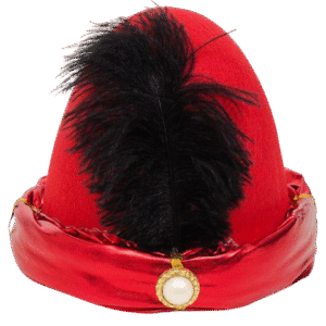 The Majestic Mughal Topi