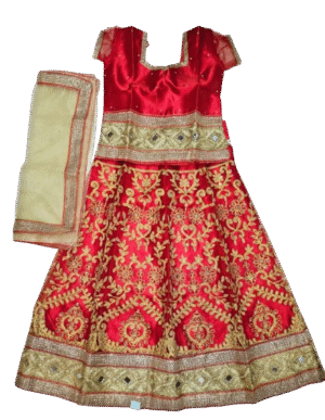 Exquisite Radha/Devi Lehenga Set - 03